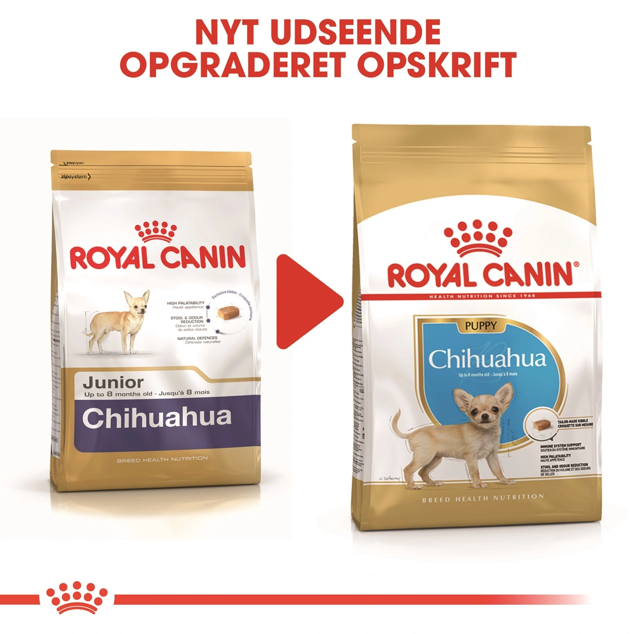 Royal Canin Chihuahua Puppy 1,5 kg - hvalpefoder